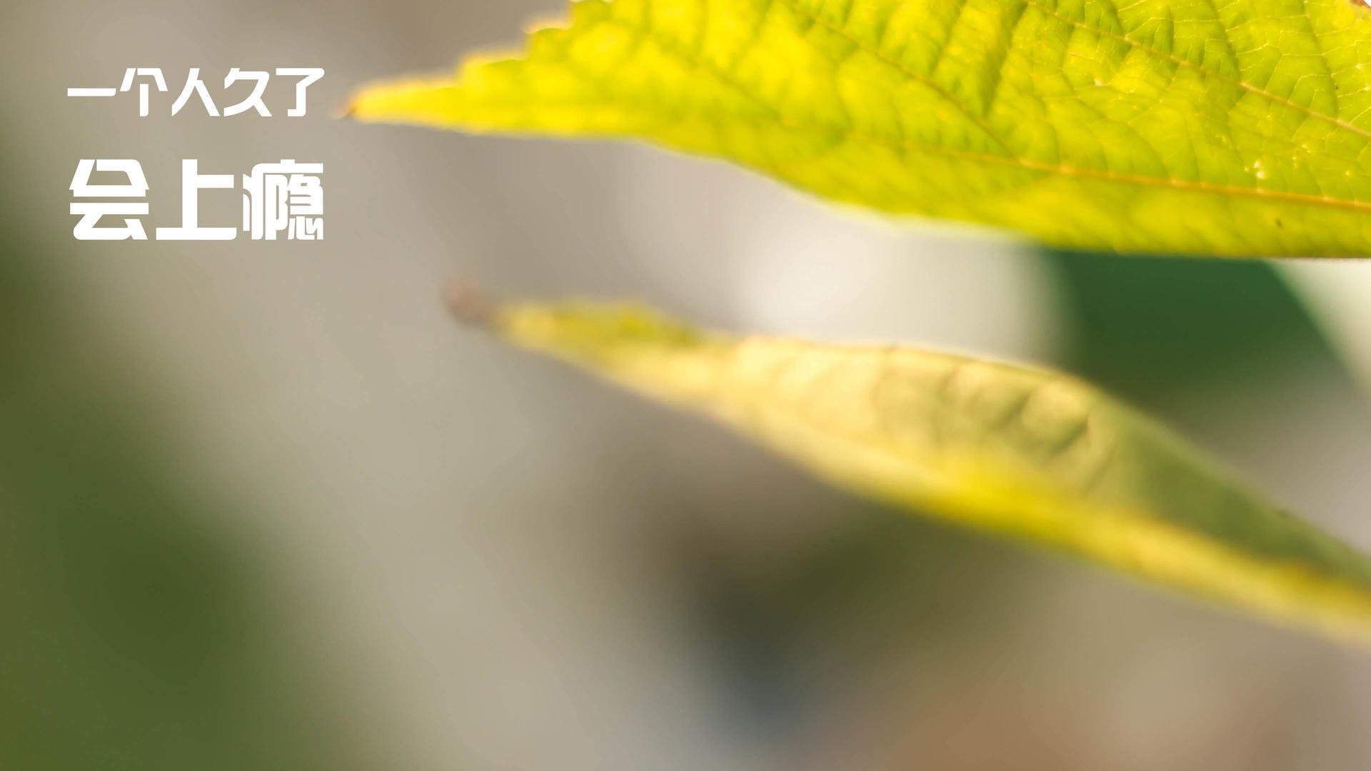 开云体育官网-范戴克铁血防守定胜局，马里对阵冰岛关键回合全纪实