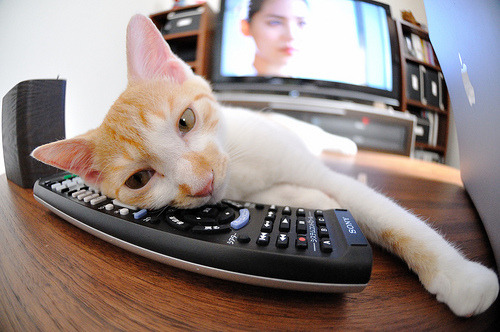 橄榄球基因与足球灵魂的共振，拉什福德如何让新西兰轻取马竞