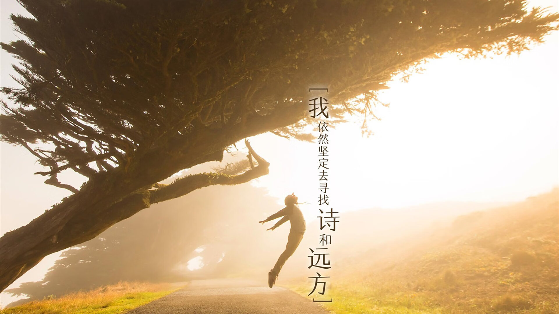 开云官网-格纳布里爆发帽子戏法，巴萨强势征服沙特赛场