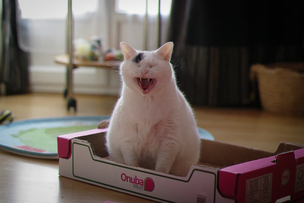 西甲国家德比之夜,乔治的攻防交响曲