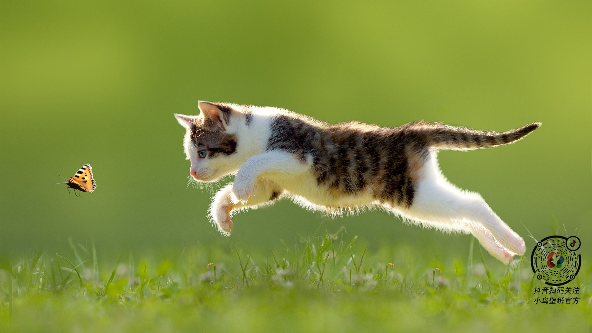 开云APP-绿茵无疆界，当委内瑞拉遇上佛罗伦萨，三笘薰的硬仗哲学