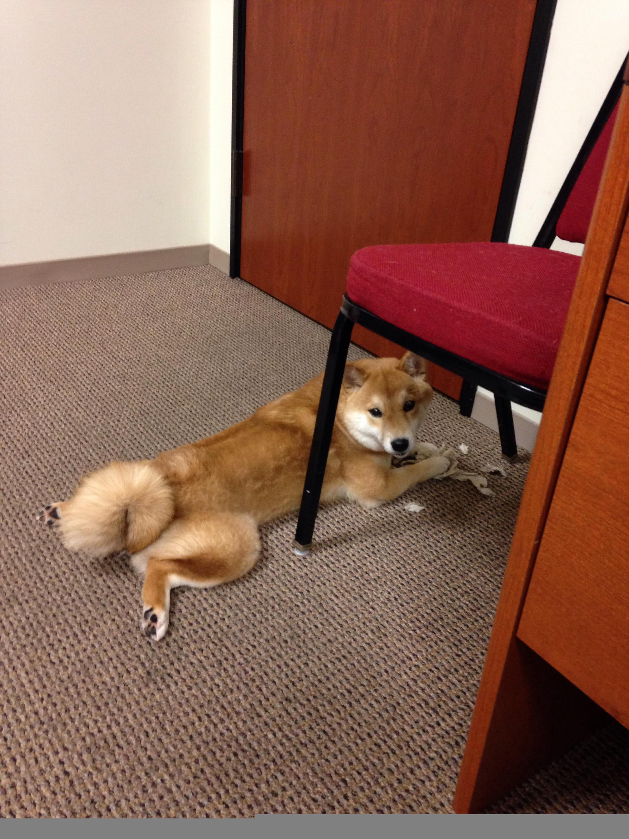 开云体育-格纳布里生涯之夜刷新极限，皇家社会主场轻取曼城