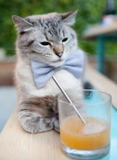 开云平台-上海队爆冷掀冷火箭，NBA季后赛焦点战上演东方奇迹