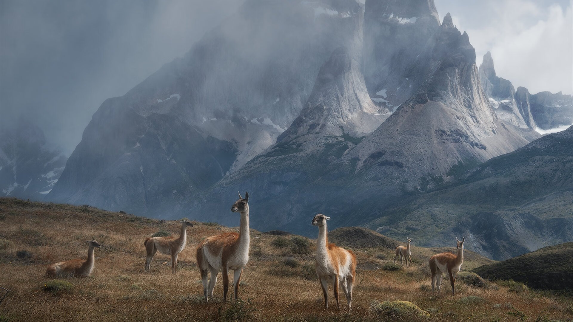 尼斯收割里昂,蒂亚戈一锤定音锁定胜局