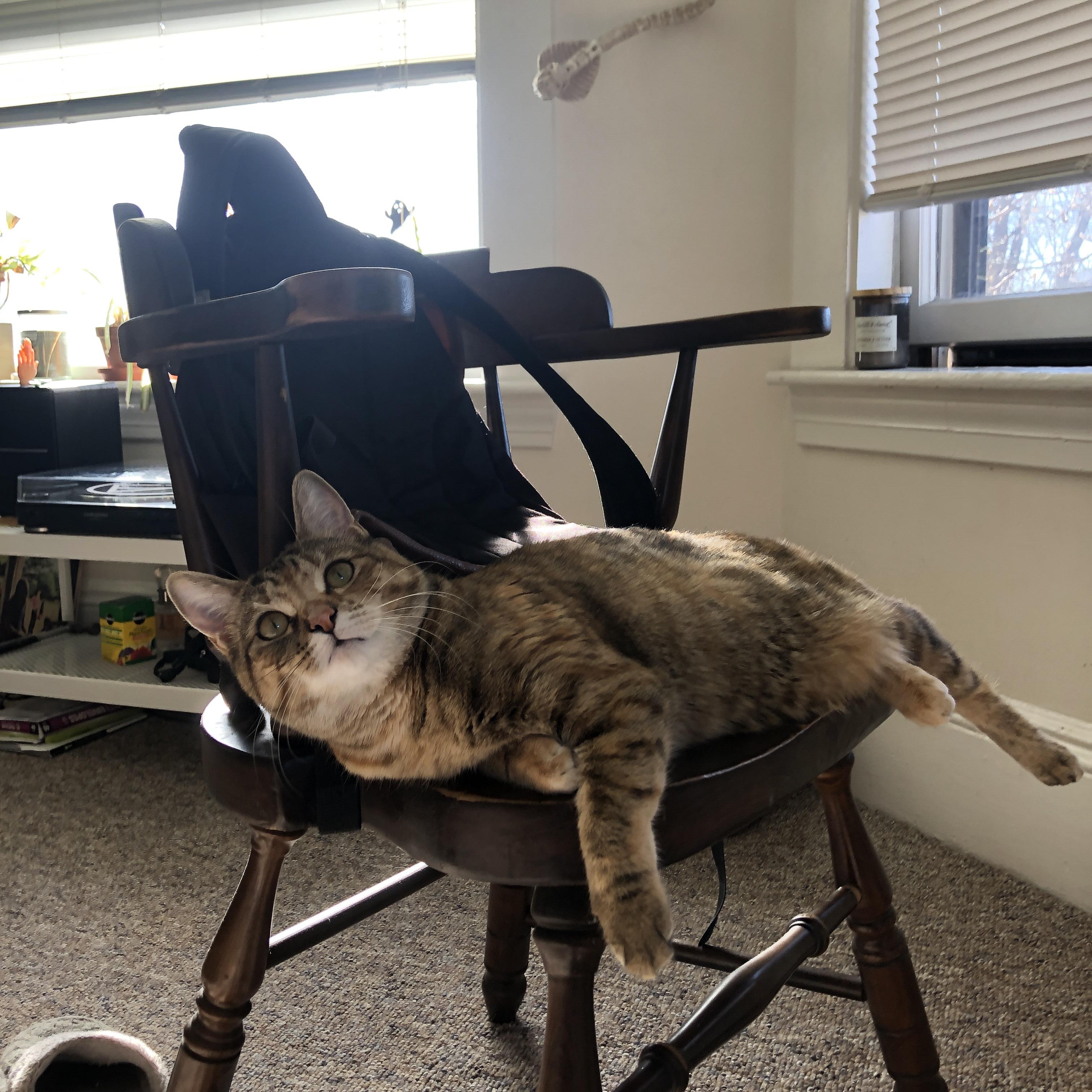 跨越时空的赛场统治力,深圳加时鏖战映照英超争冠夜的孤星接管