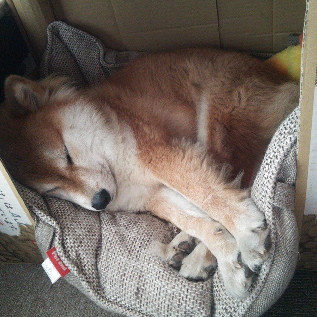 开云体育官网-第三节风暴，克罗地亚如何用12分钟决定了抢七战的命运？