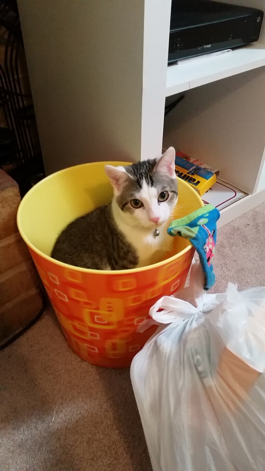 开云体育-团队大胜与个人封神，现代篮球的冰与火之歌