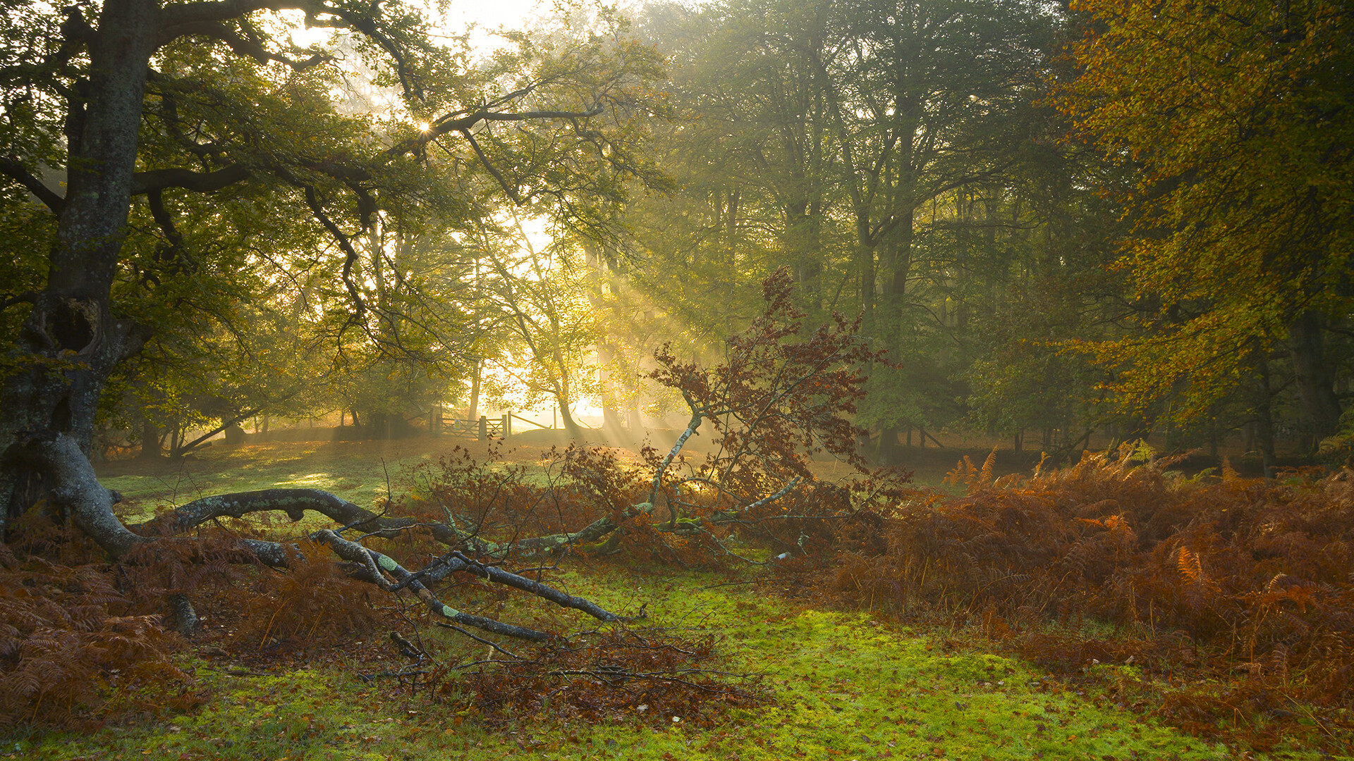 团队大胜与个人封神,现代篮球的冰与火之歌