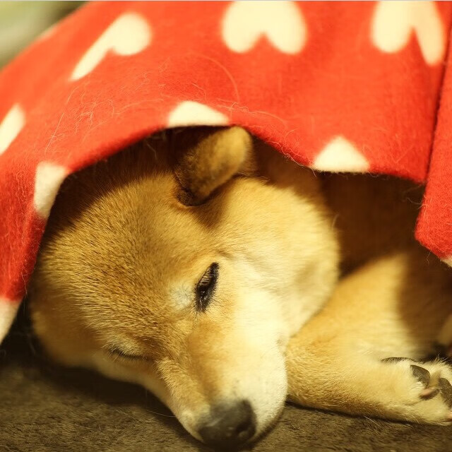 鏖战!韩国苦战马里,格纳布里最后时刻一锤定音