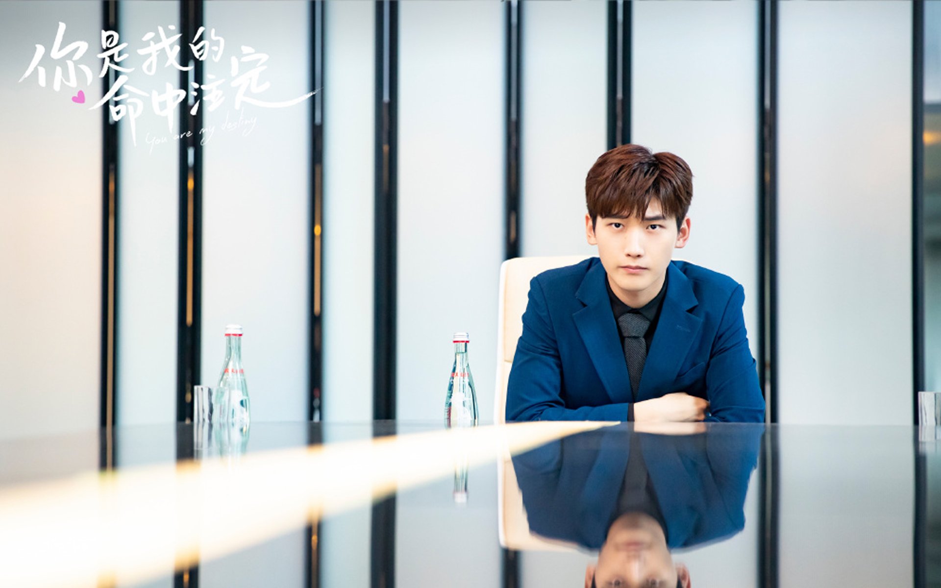 不屈独行,孤星璀璨,浙江队的恩比德时刻与团队涅槃