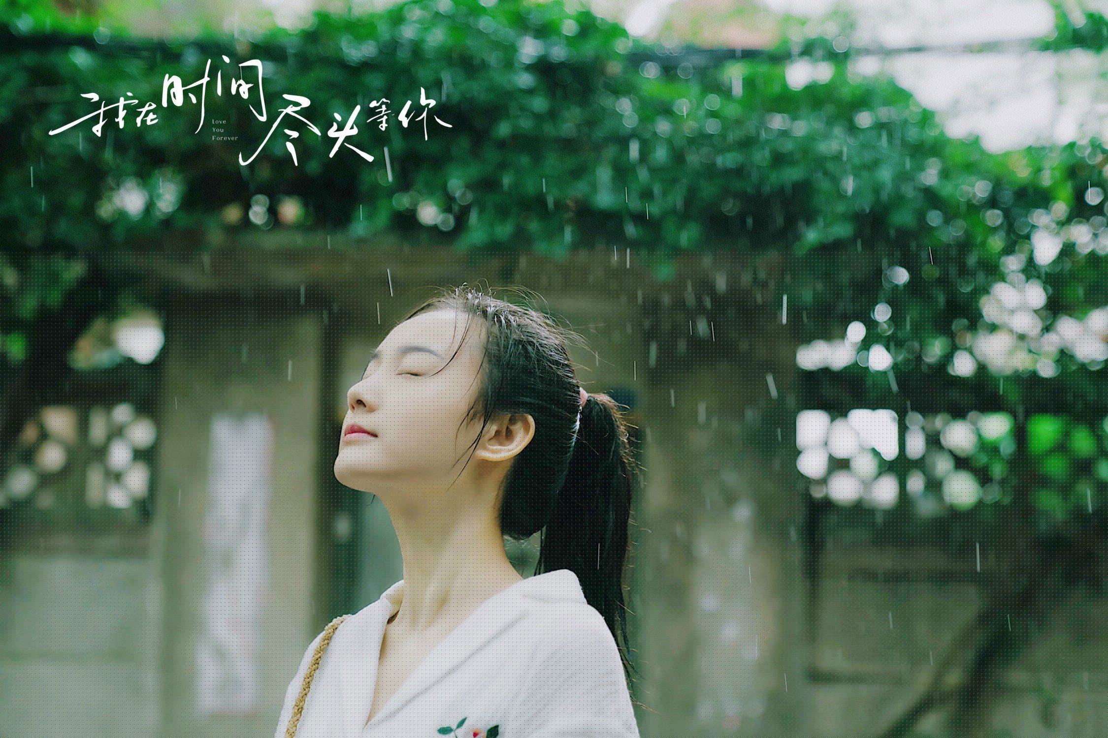 鹰击鹏城,当欧冠铁翼掠过中超新贵的天空