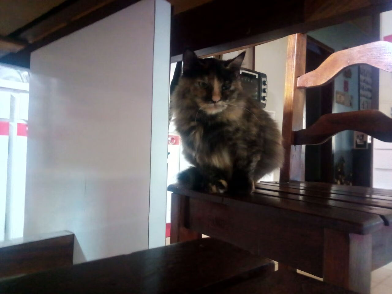 竞技场无界,从塞维利亚的足球疆场到戈麦斯的F1赛道,胜利的法则从未如此相通