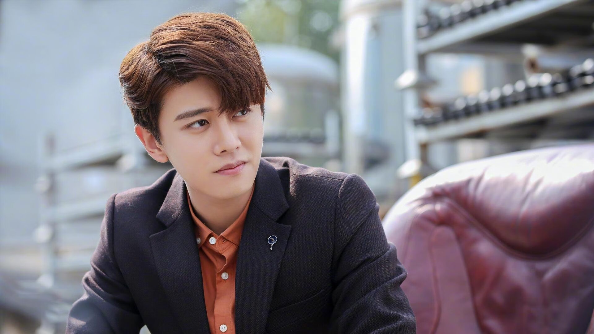 武切维奇全能爆发，奇才主场力克凯尔特人