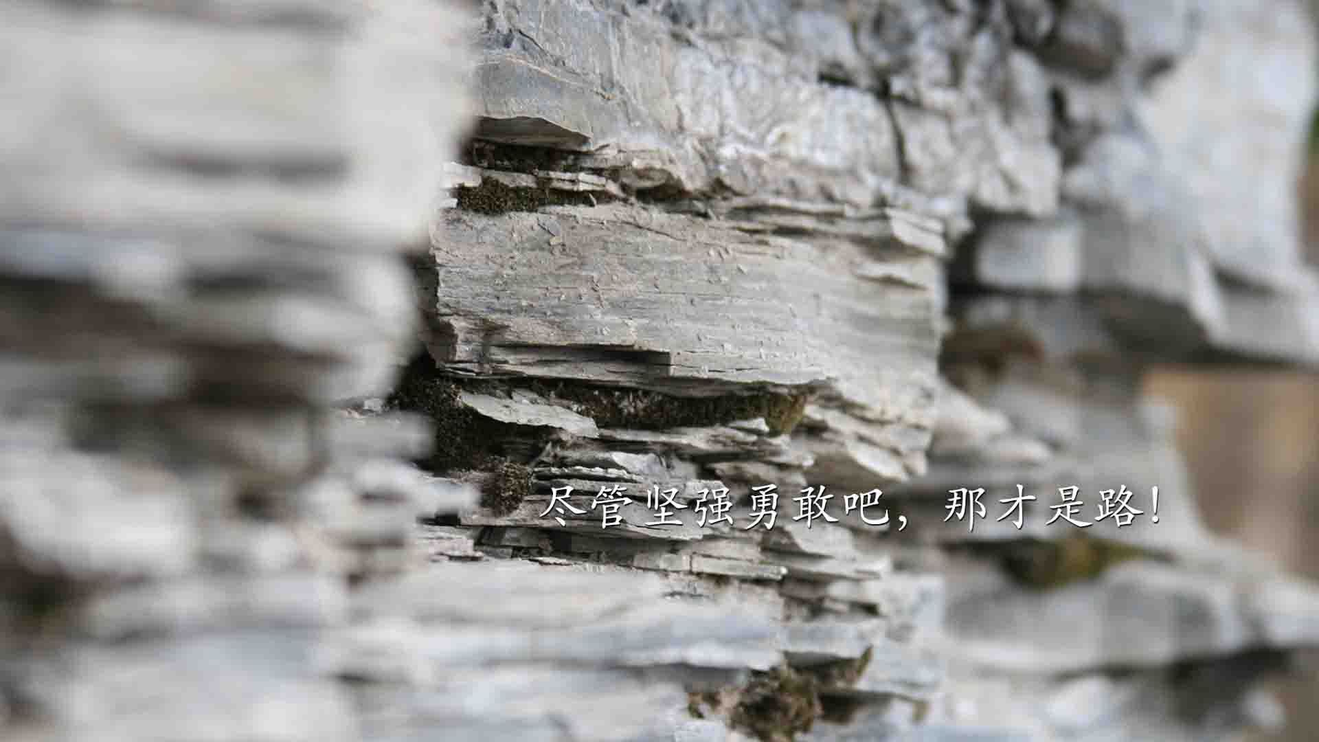 冲破底特律铁幕，文班亚马风暴席卷联盟