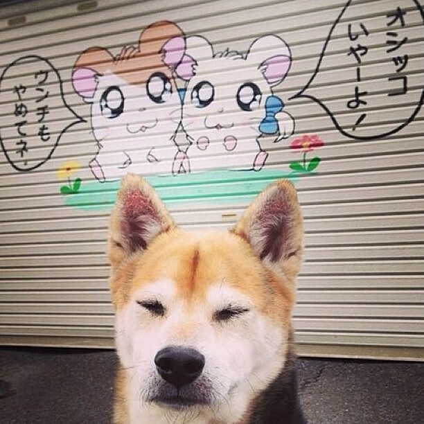 戈麦斯补时绝杀！法国战车最后时刻碾过挪威冰川