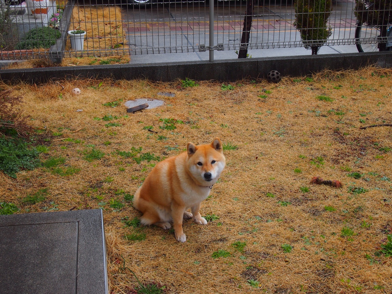 开云体育入口-鹰击费城，老鹰争冠战力克76人，哈登如F1王者独舞接管比赛